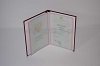 Стоимость диплома Техникума с Отличием 2003-2007 в Славгороде (Алтайский Край)